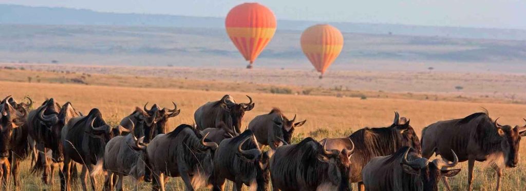 days tanzania luxury safari banner