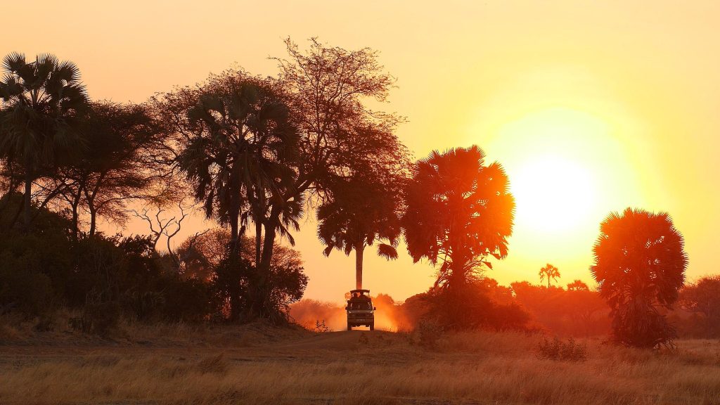 Game Drives at Mikumi National Park