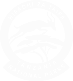 tanapa png
