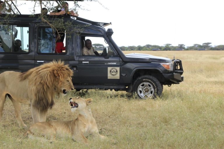 Safari Vehicle
