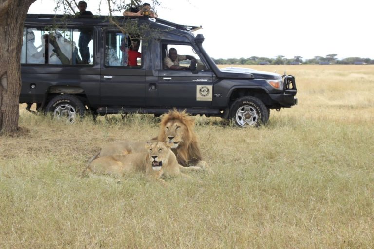 Safari Vehicle