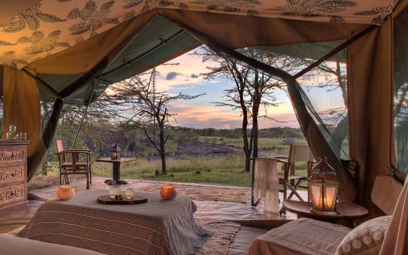 3 days tanzania lodge safari