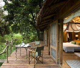 Ngorongoro Safari Lodge-Gibbs Farm