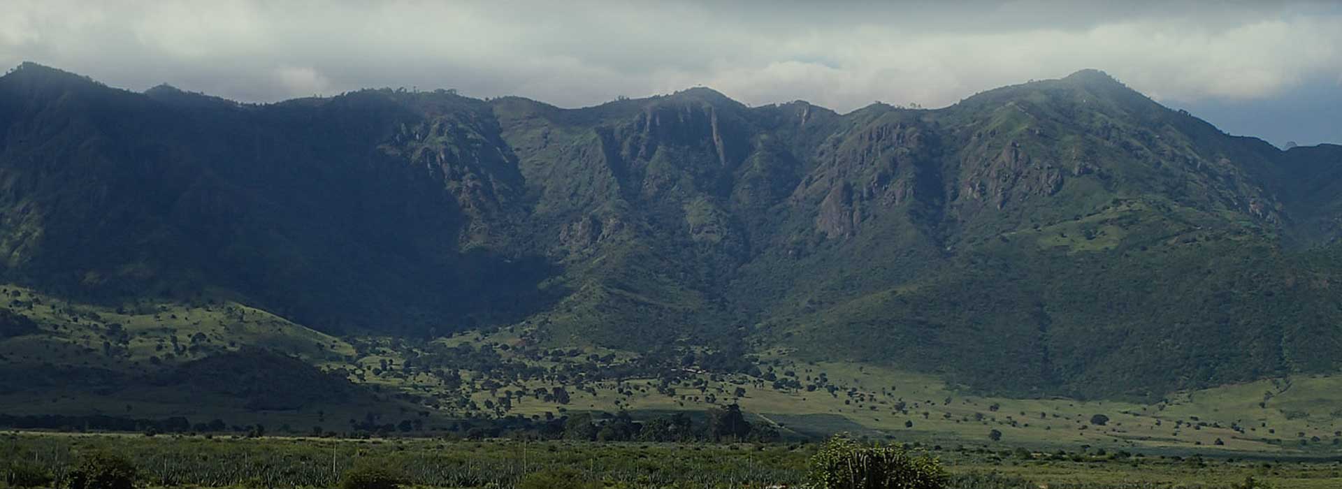 Usambara Mountains Cultural Tour